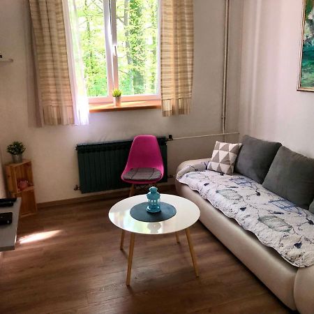 Crystal Lakes Apartment Plitvička Jezera Dış mekan fotoğraf