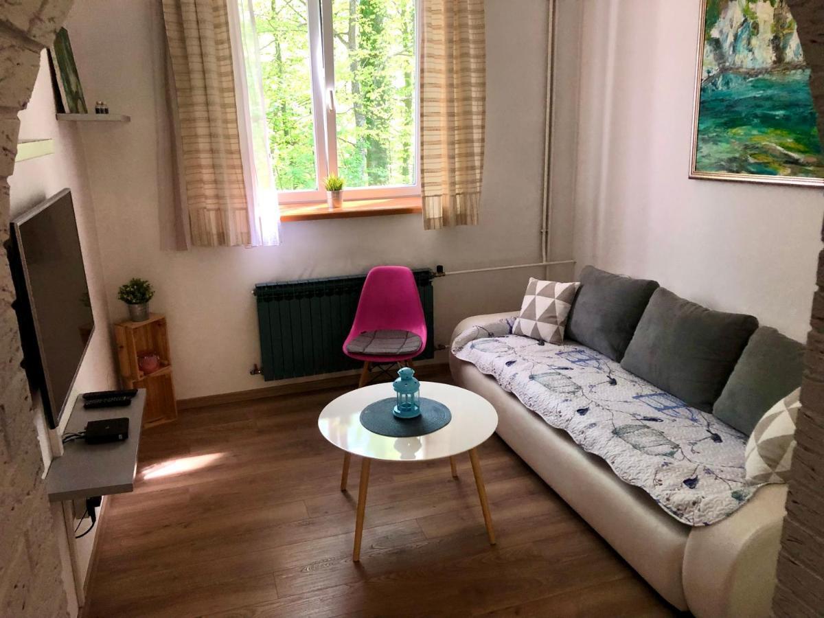 Crystal Lakes Apartment Plitvička Jezera Dış mekan fotoğraf
